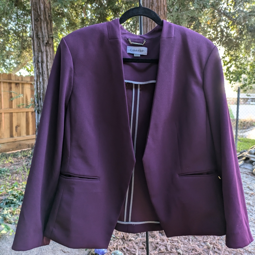 Calvin Klein 18W Aubergine Suit